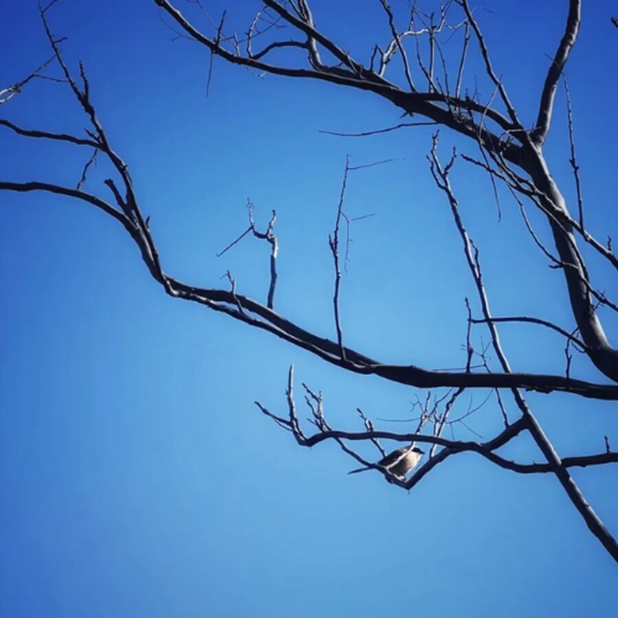 我是谁？