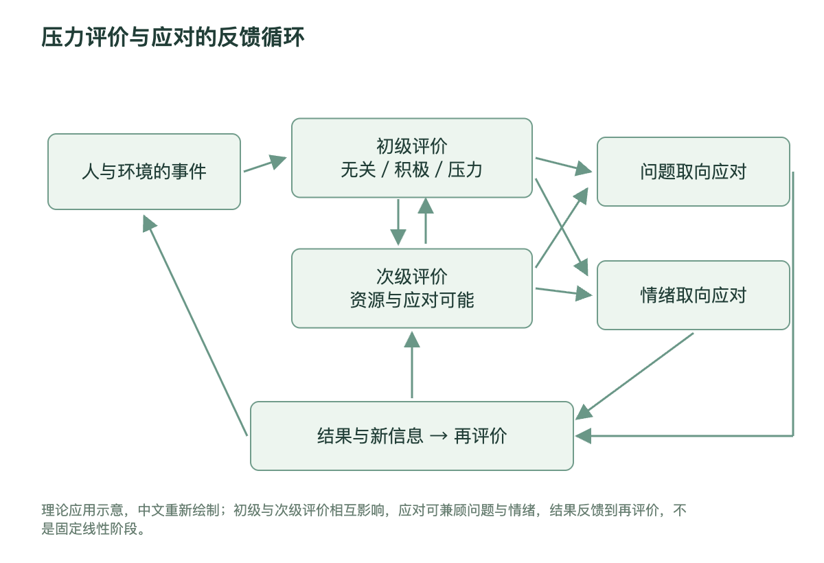 压力评价与应对的反馈循环