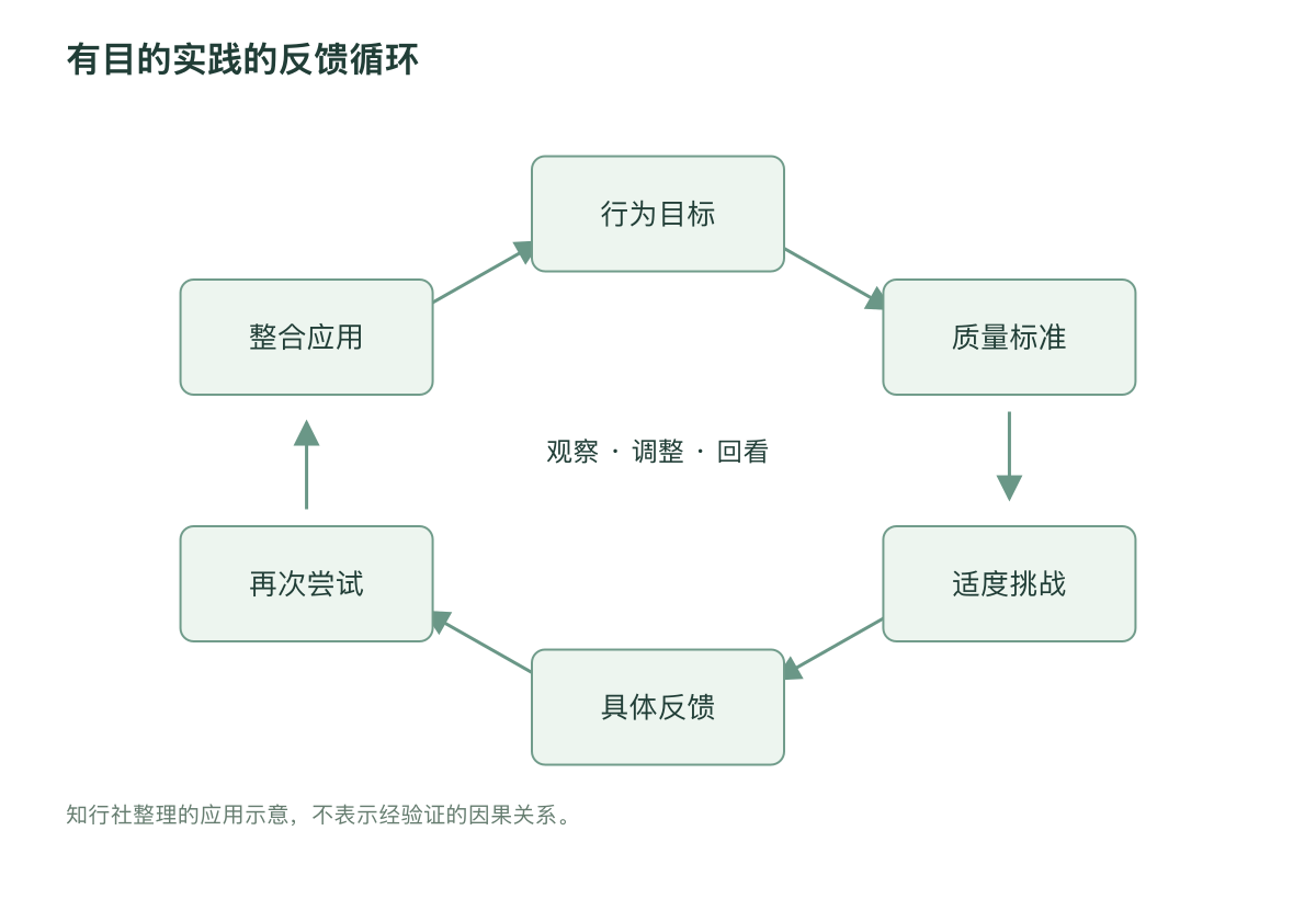 有目的实践的反馈循环