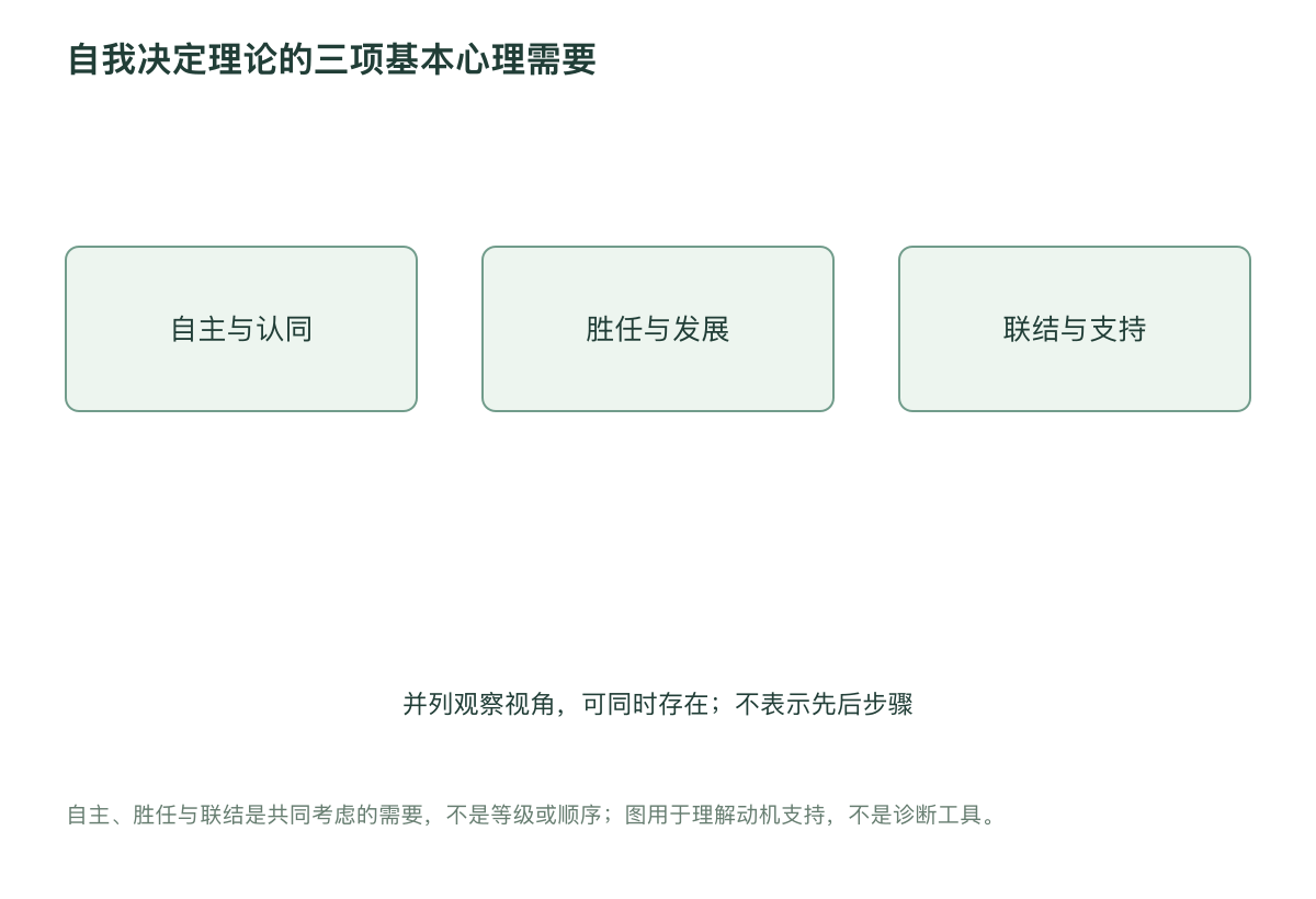 自我决定理论的三项基本心理需要