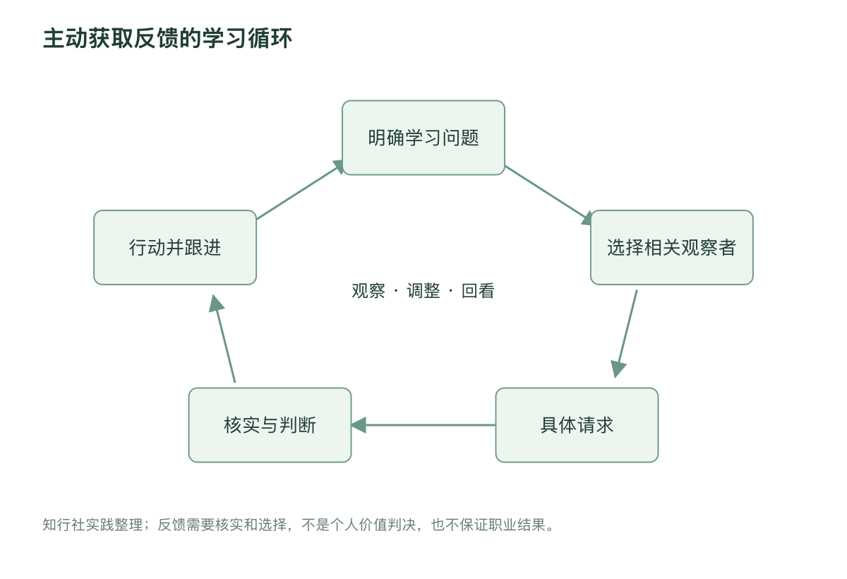主动获取反馈的学习循环
