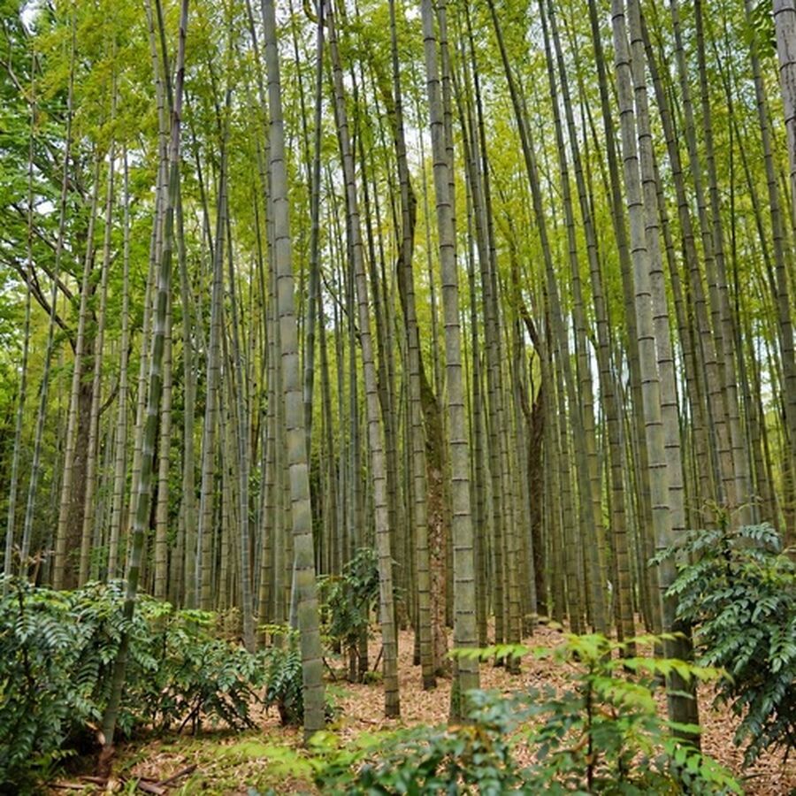 变革推不动不一定是人抵触：用力场分析寻找可改变条件