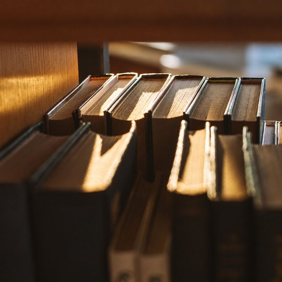 怀疑不诚实时：别靠表情测谎，让事实进入适当核查