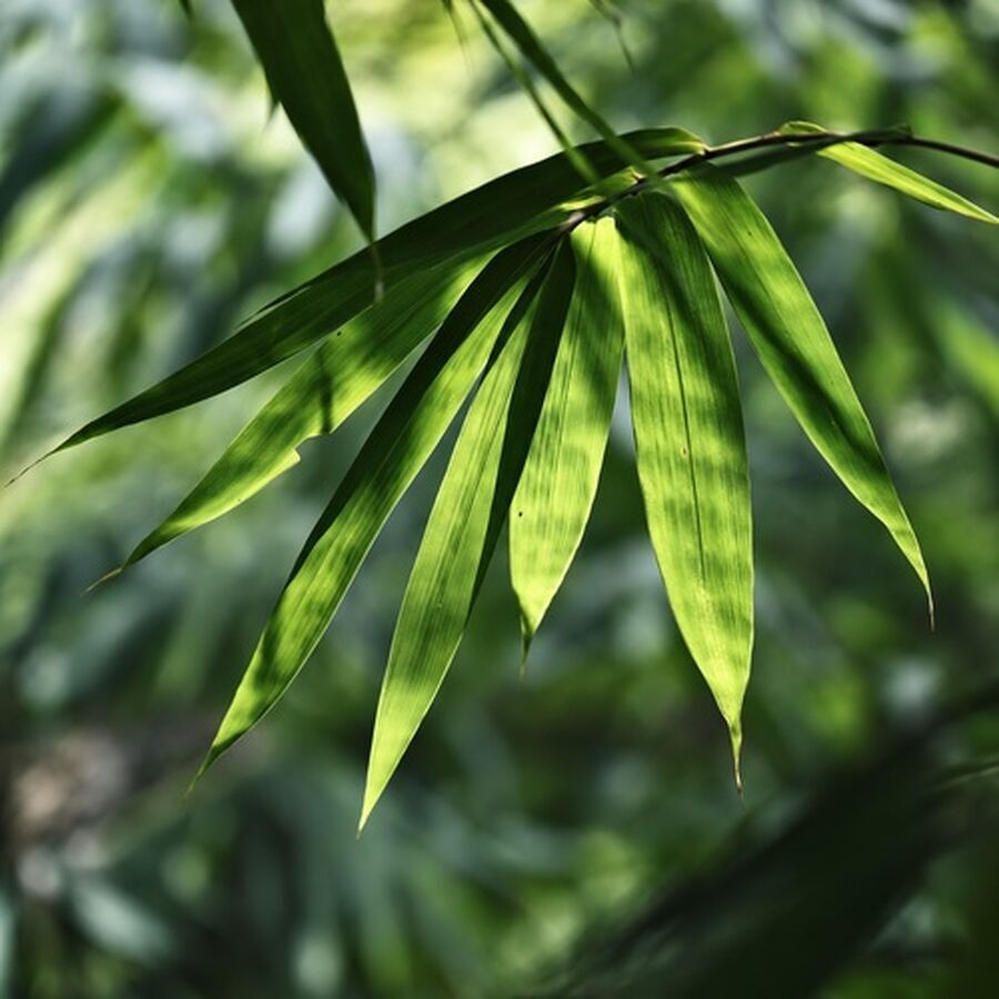 不合理请求怎样回应：把负荷、范围与价值边界摆到桌面