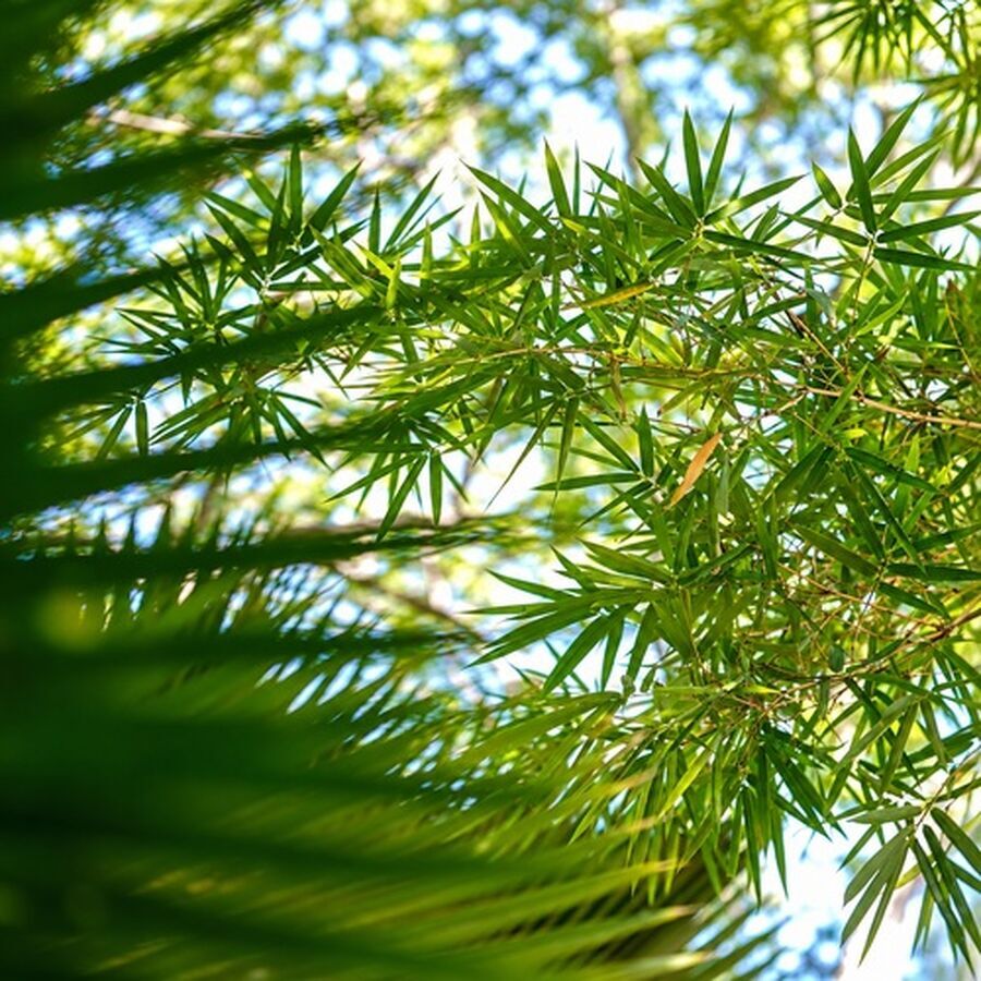 谈判不必固定一种风格：依据、关切、交换与让步怎样组合