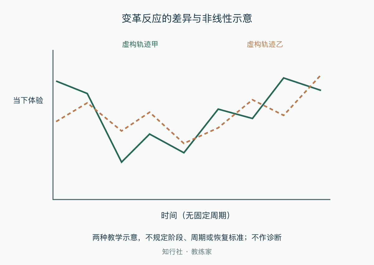 变革反应的差异与非线性示意