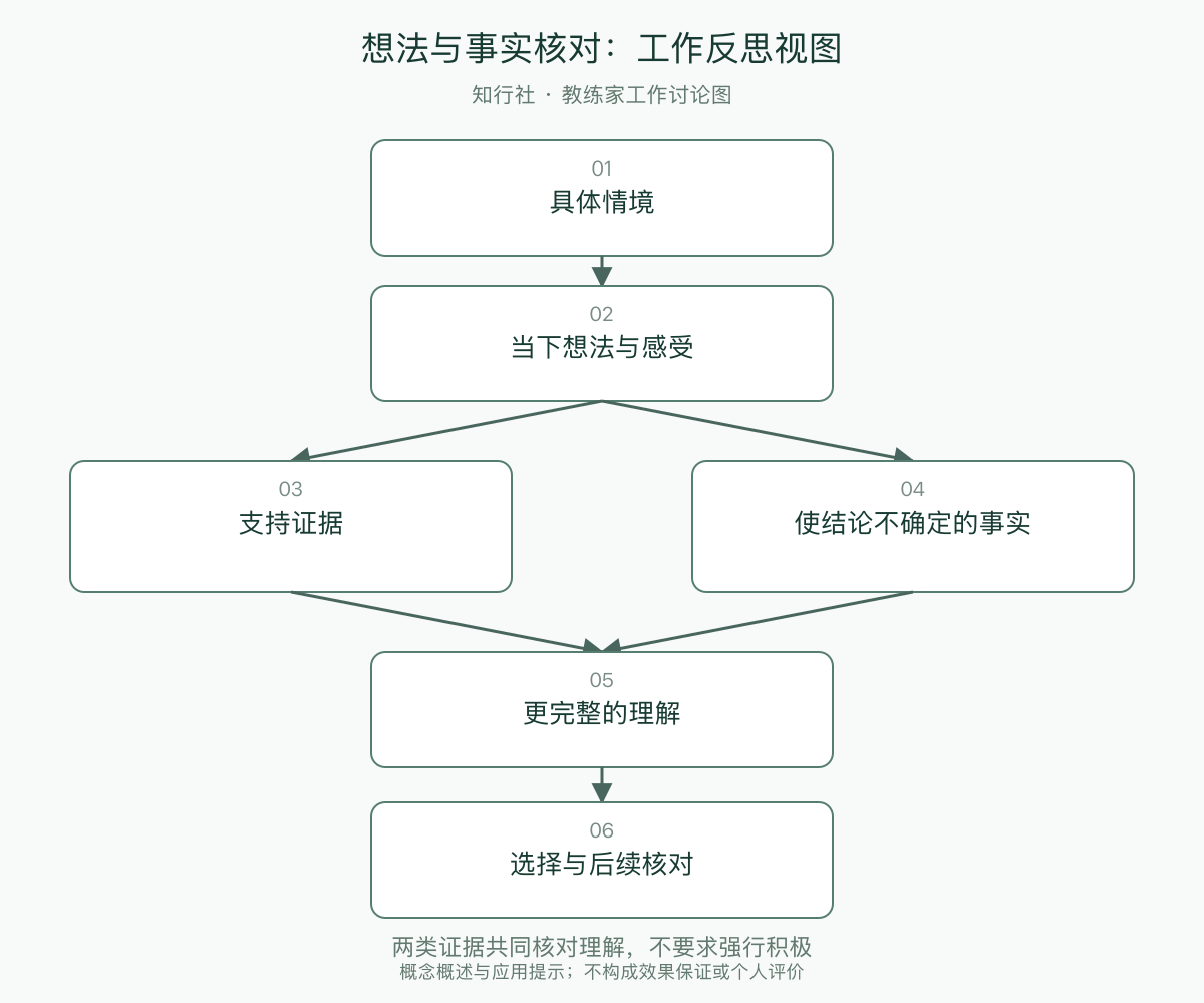 想法与事实核对：工作反思视图