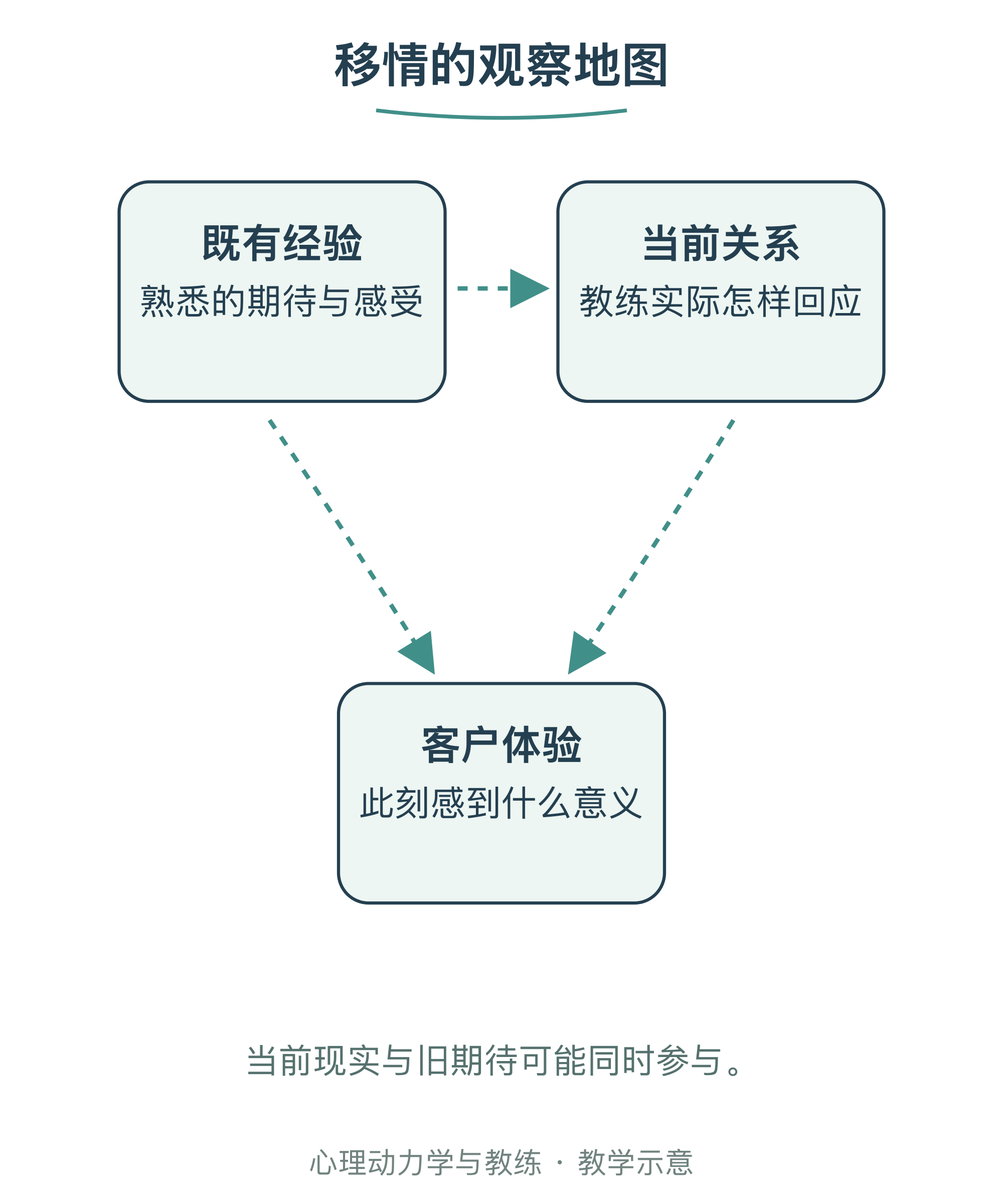 移情的观察地图
