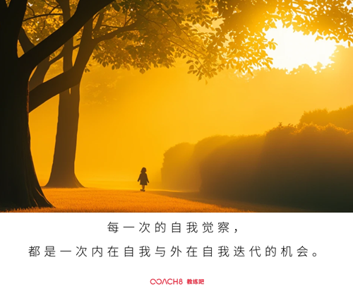 自我觉察中的“合理化”（原文插图）