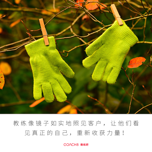 在生活中应用教练——相信客户本自具足（原文插图）