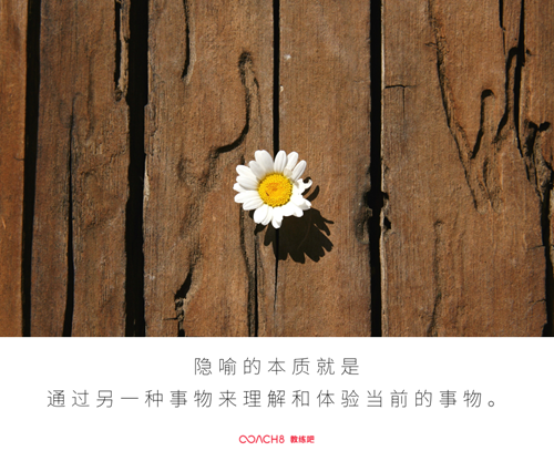 一边发挥隐喻的魔力，一边不忘模型的智慧（原文插图）