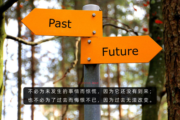 《人生由我》｜70+梅耶·马斯克的那句“为什么不？”，治愈我的35+焦虑（原文插图）