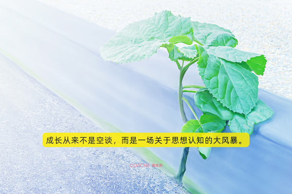 《人生由我》｜70+梅耶·马斯克的那句“为什么不？”，治愈我的35+焦虑（原文插图）