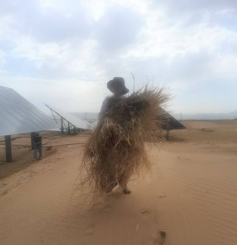 乌兰布和治沙,复盘一场最落地的教练修行(原文插图)