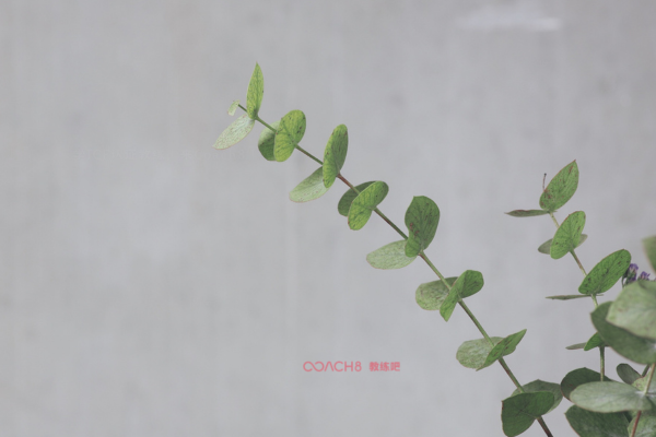 写给今年的八月（原文插图）